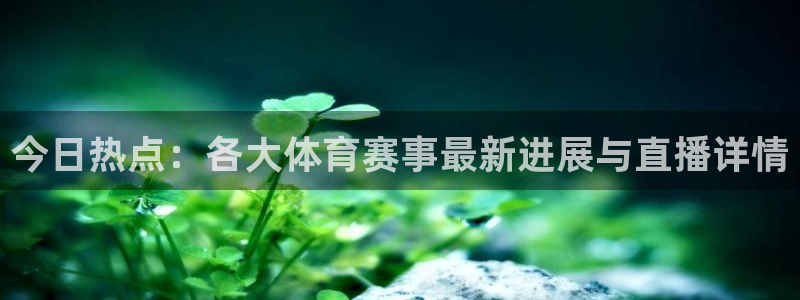 今日热点：各大体育赛事最新进展与直播详情