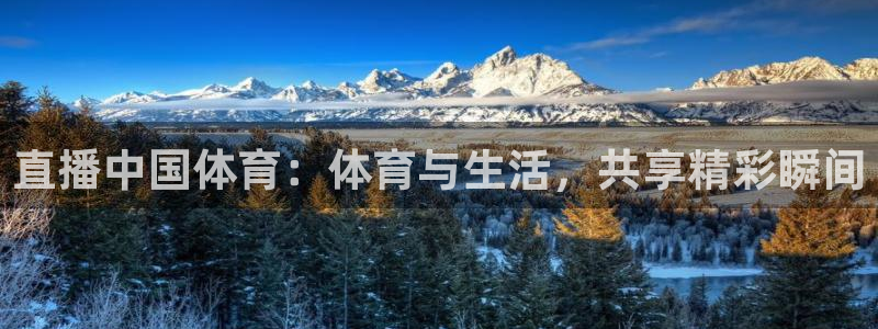 直播中国体育：体育与生活，共享精彩瞬间