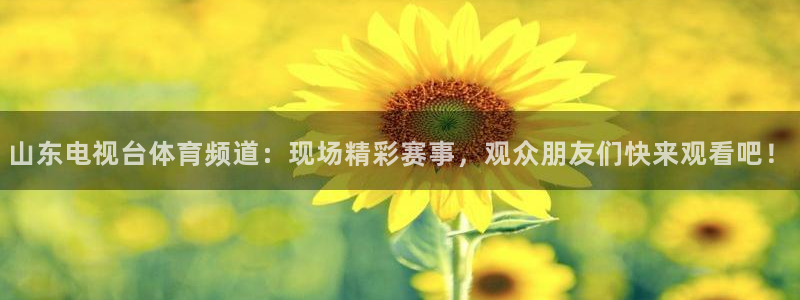 山东电视台体育频道：现场精彩赛事，观众朋友们快来观看吧！