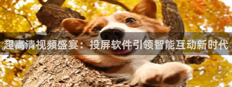 超高清视频盛宴：投屏软件引领智能互动新时代