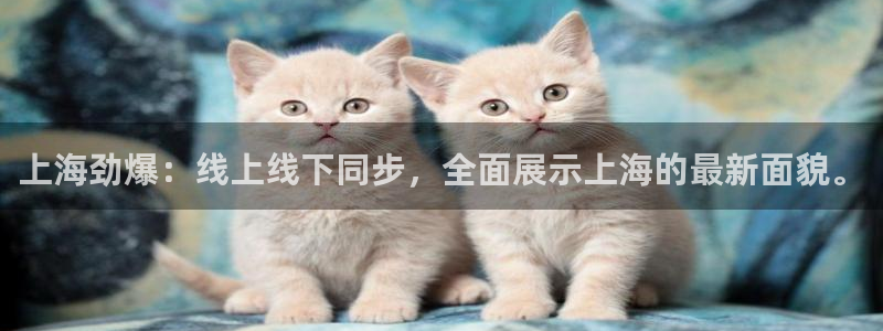 上海劲爆：线上线下同步，全面展示上海的最新面貌。